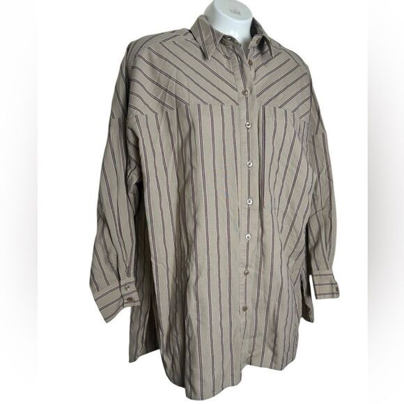 Anthropologie Pilcro Striped Ocersized Boyfriend Button Down - Picture 2 of 10